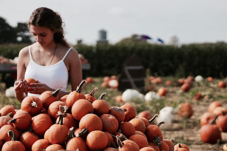 A woman at a pumpkin patch inspecting a pumpkin