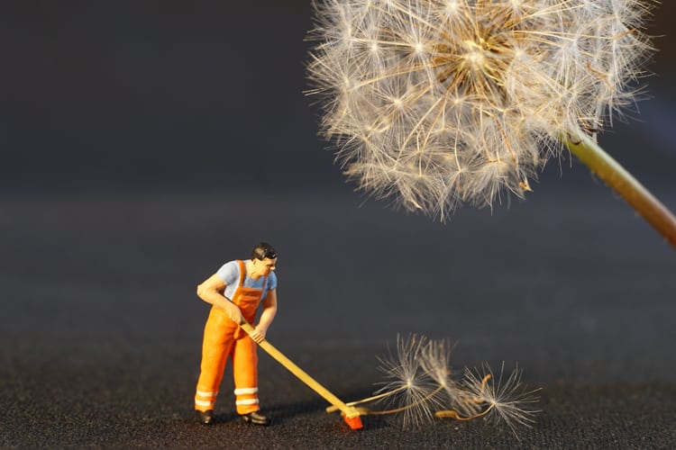 A plastic man with a broom sweeping dandelions 