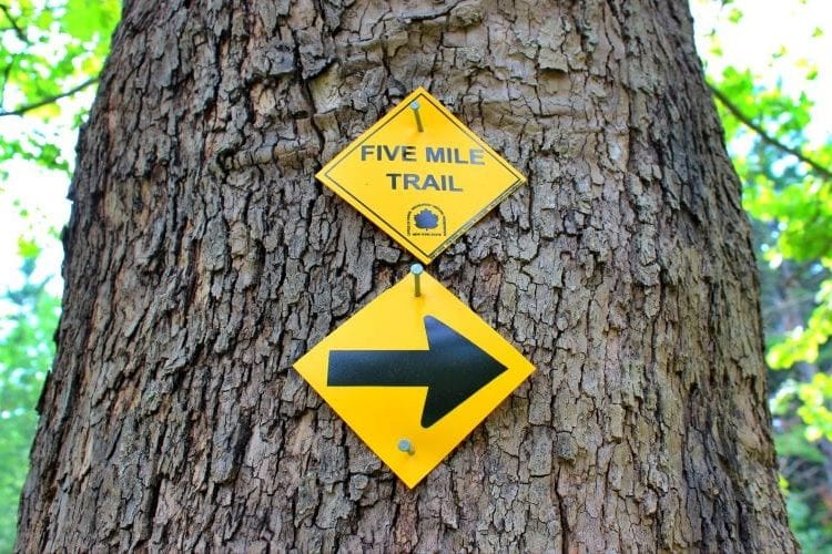 A sign on a tree pointing right toward a five mile hiking trail