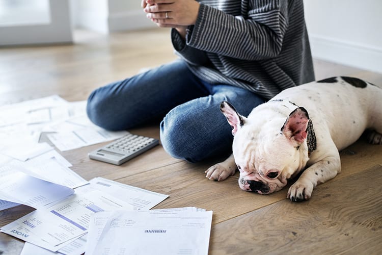 A person sitting on their floor beside their dog, a calculator, and paperwork