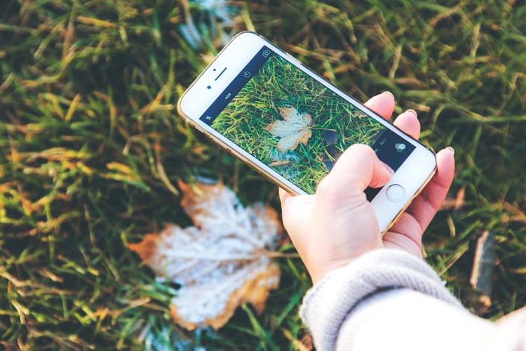 Hand holding iPhone taking a picture of a fallen leaf