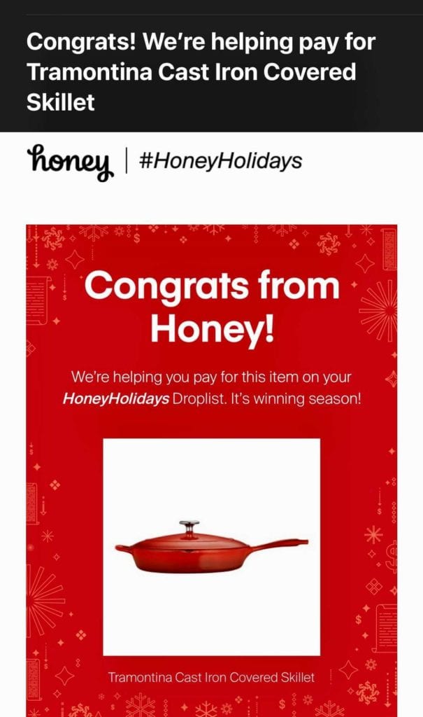Email screenshot of winning an item from Honey Holidays promotion