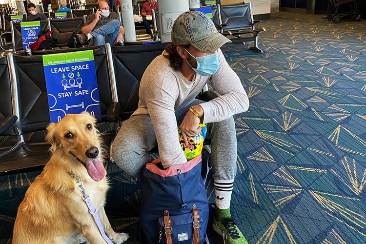 Airport boarding gate with man and golden retriever