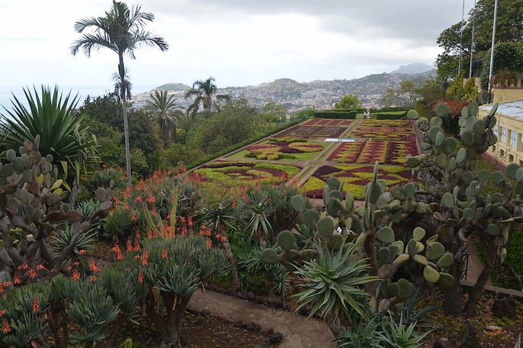 The Madeira Botanical Garden in Funchal